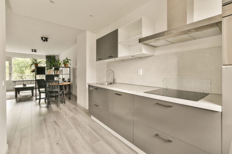 Kitchen and dining zone in studio apartment